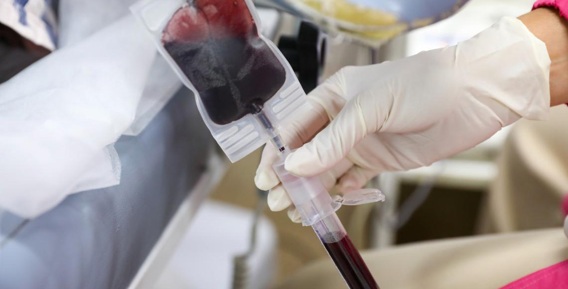 Abertas inscrições para a 2ª turma do curso online para capacitação de multiplicadores da doação de sangue