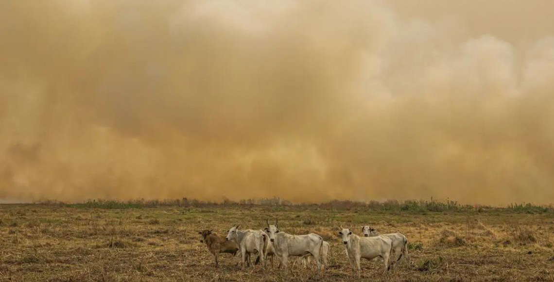 Janeiro tem número de focos de calor duas vezes maior que a média