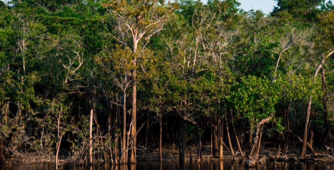 No Dia Mundial das Áreas Úmidas, ICMBio destaca os desafios para a conservação desses ecossistemas