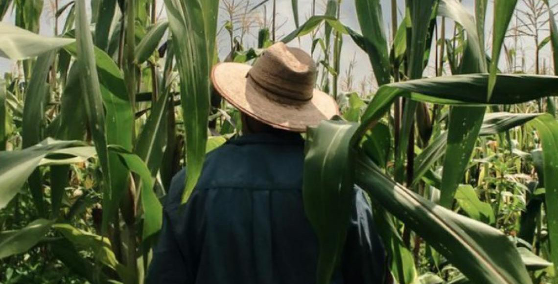Ministério do Trabalho informa que é falsa norma que obriga trabalhador rural a trocar chapéu por capacete
