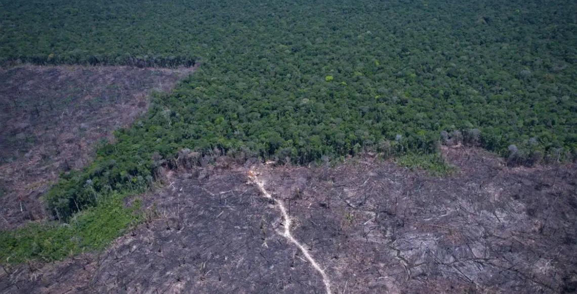 Amazônia Legal: Desmatamento prevalece em torno de áreas protegidas