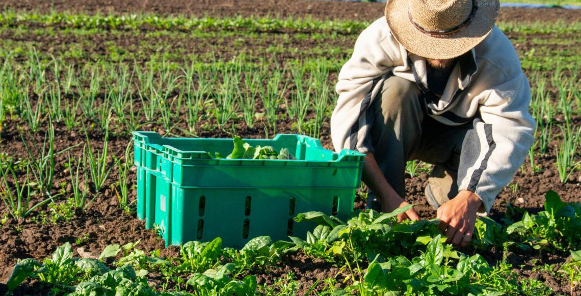 Pesquisa apresenta retrato detalhado da população residente na área rural do Distrito Federal