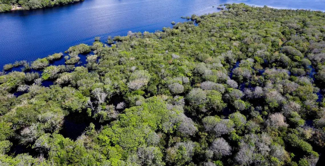 Governo brasileiro lança edital para combate ao desmatamento na Amazônia