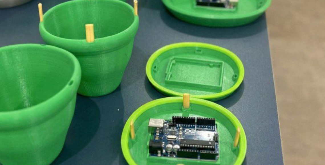 Startup do Tocantins desenvolve armadilha de controle biológico do mosquito da dengue