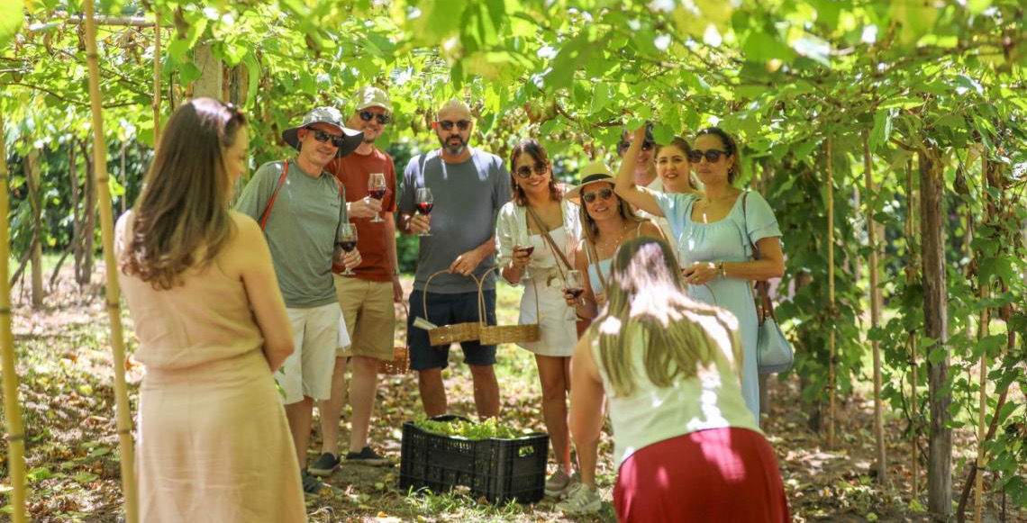Rota das Uvas transforma Brasília em destino de enoturismo e vira alternativa à folia durante o Carnaval