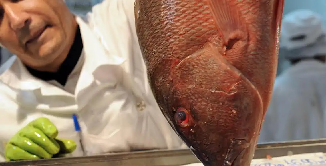 Já está valendo no Brasil: Selo Pesca Artesanal que garante origem aos pescados da pesca artesanal