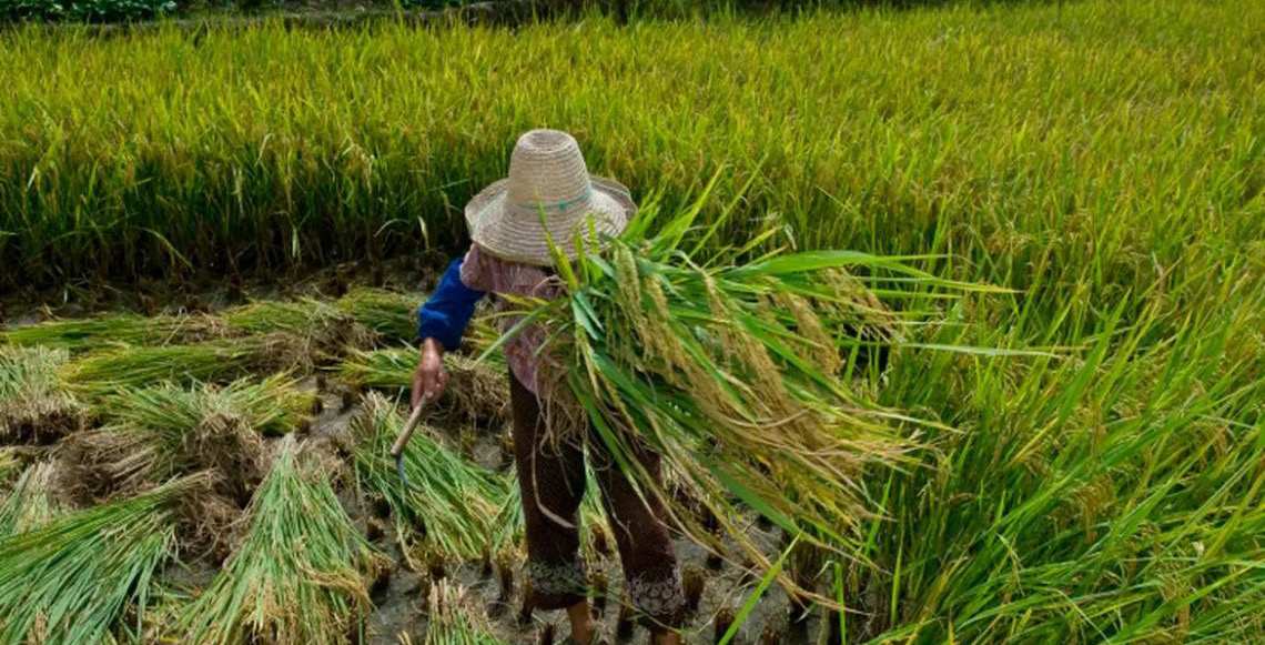 Promulgado protocolo da OIT contra trabalho forçado
