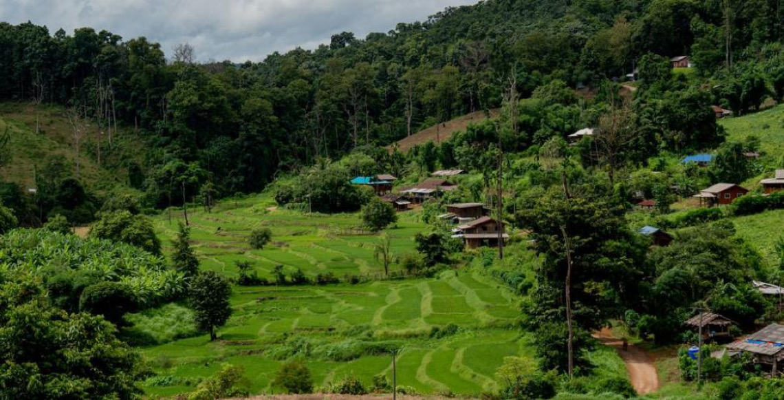 35% das terras do mundo têm posse formalmente documentada, diz FAO
