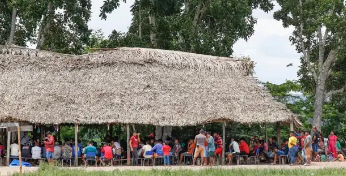 Povo Parakanã, do Pará, reocupa território após retirada de invasores  