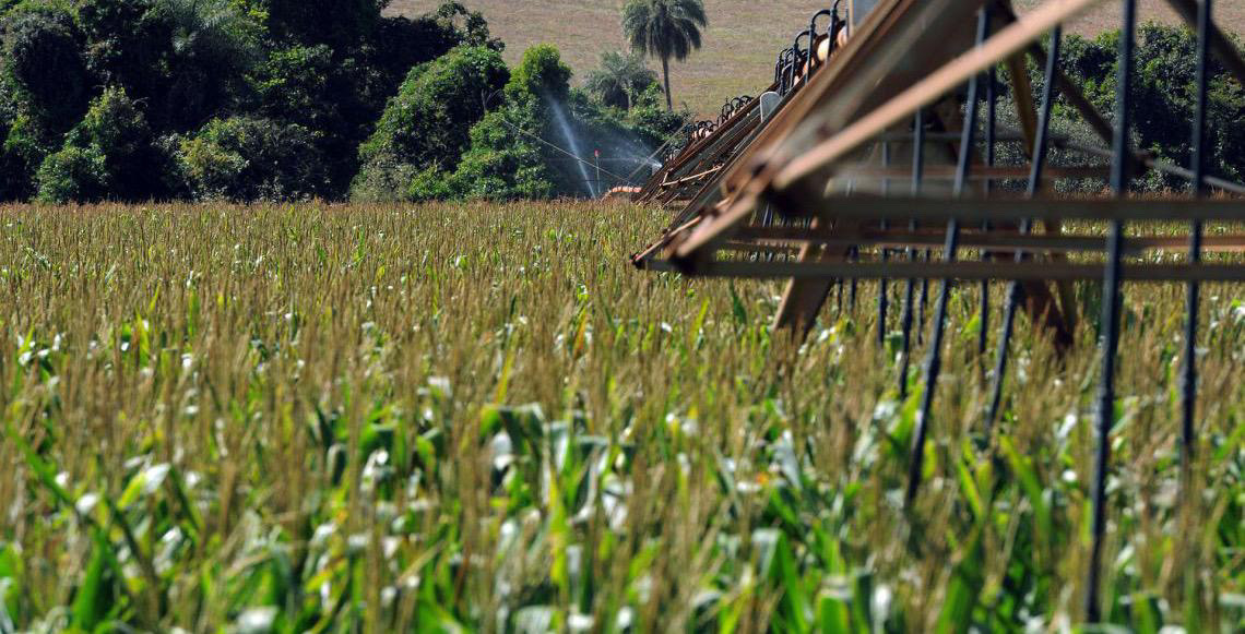 Projeto Mulheres no Campo abre 100 vagas destinadas a qualificação profissional