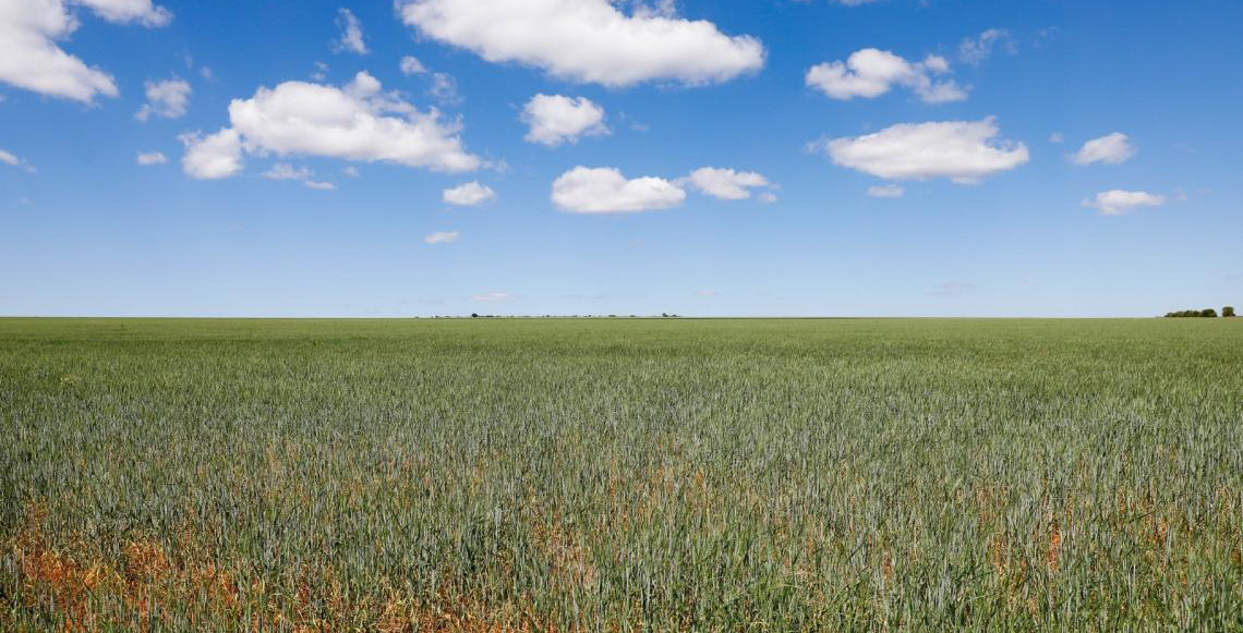 Boletim do Comércio Exterior do Distrito Federal mostra aumento nas transações internacionais em 2025