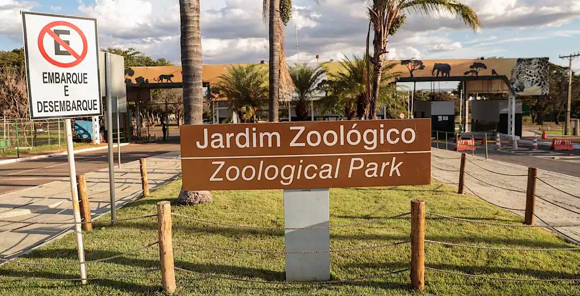 Jardim Zoológico de Brasília abre seleção para voluntários sociais e profissionais