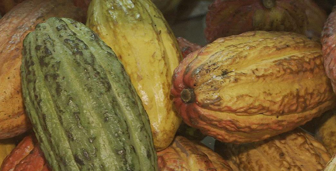 Governo brasileiro suspende temporariamente importação de cacau da Costa do Marfim 