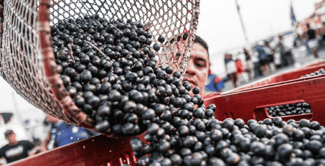 Região da América Latina reduz fome, mas ainda sofre com obesidade e dietas precárias