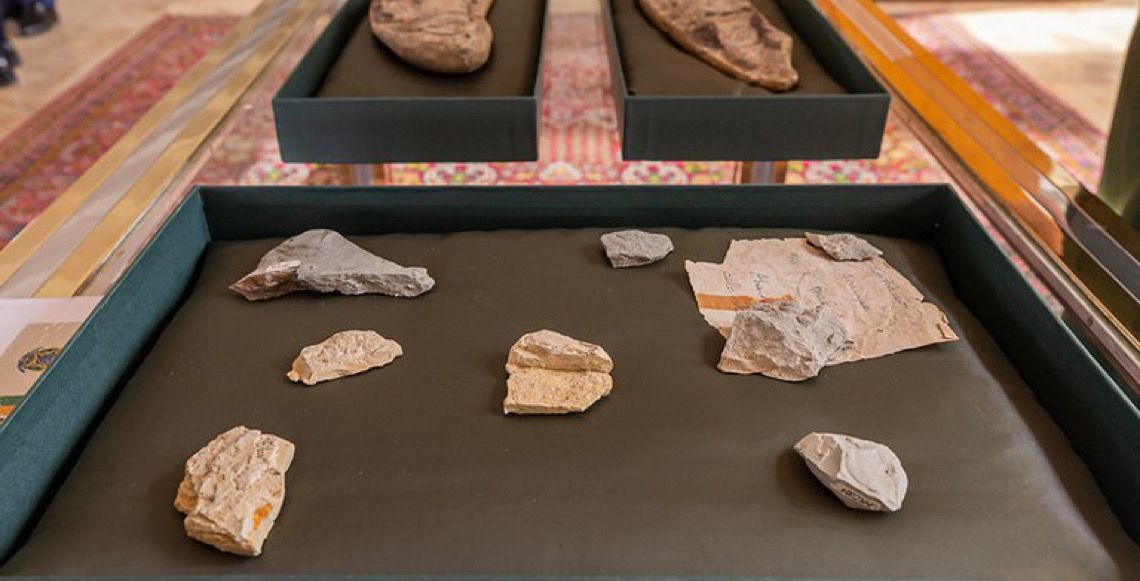 Acordos levam à repatriação de 47 fósseis da bacia do Araripe retirados ilegalmente do Brasil