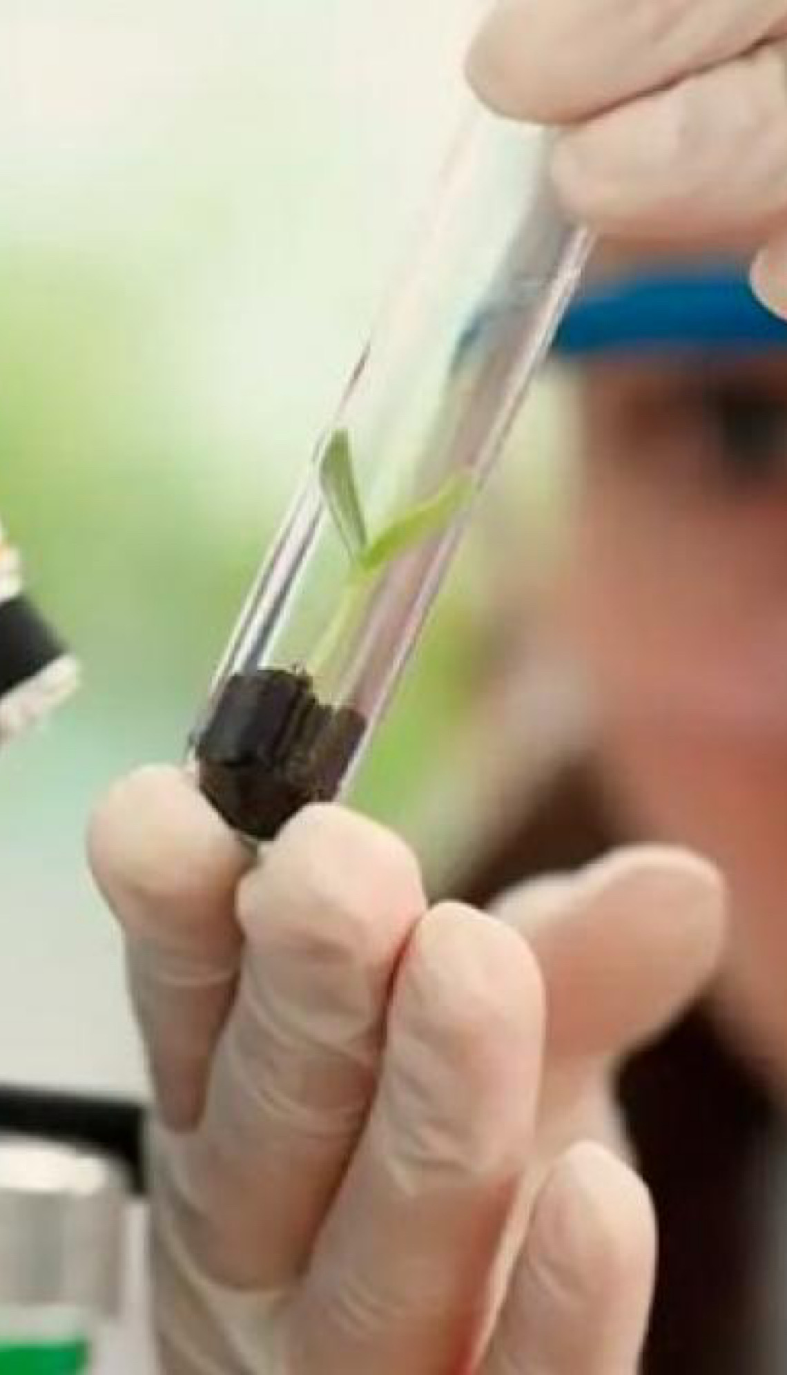 Ministra Margarida Balseiro Lopes, em Portugal quer mais igualdade salarial para mulheres que atuam em áreas da ciência