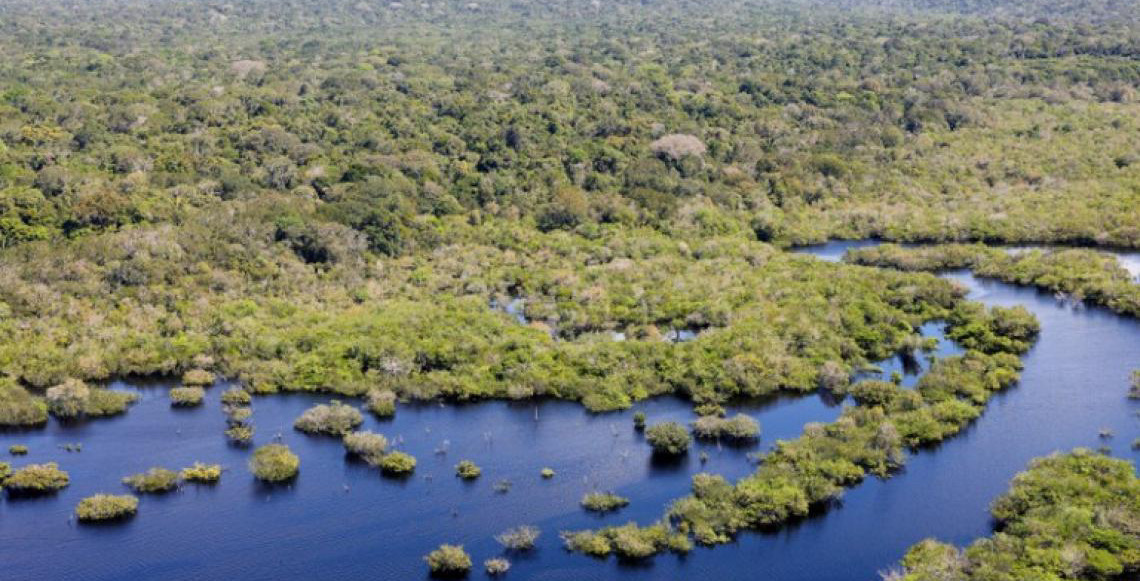 Governo do Brasil seleciona 11 projetos para restaurar quase 3 mil hectares na Amazônia Legal