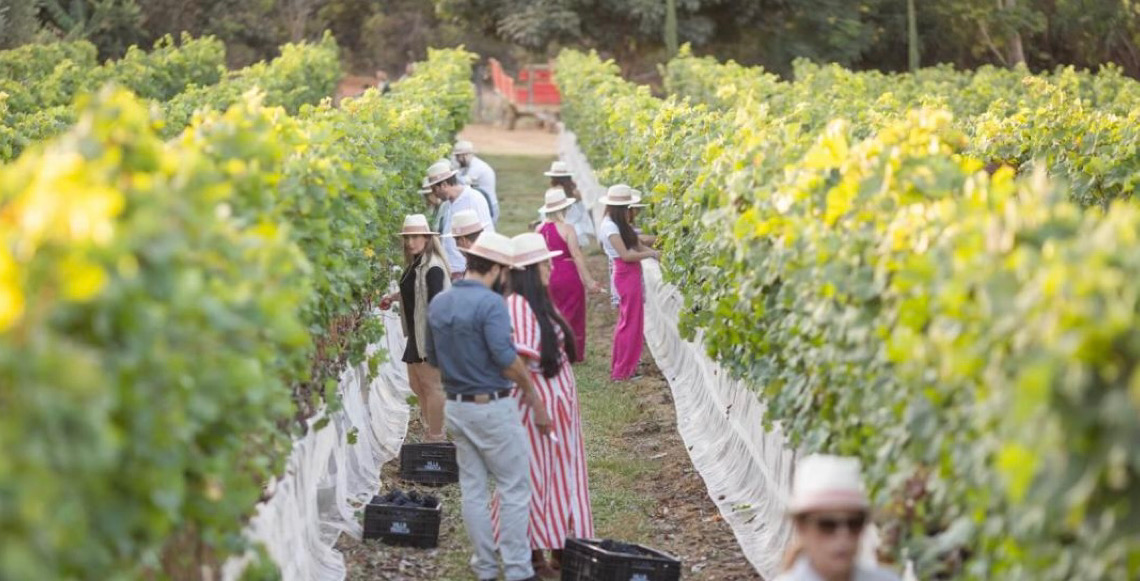 Emater-DF lança catálogo com mais de 300 produtos e experiências de turismo rural no Distrito Federal