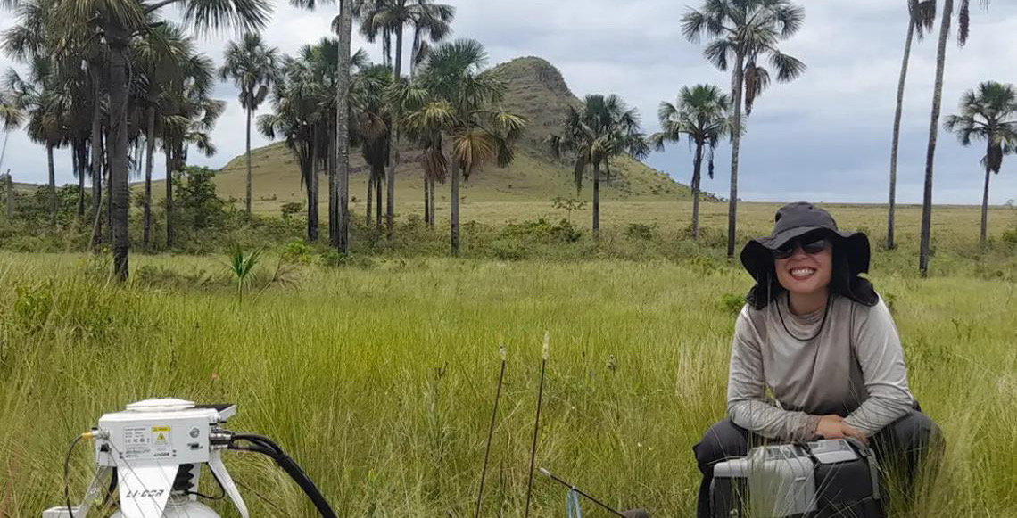 Estudo indica que Cerrado pode armazenar mais carbono que Amazônia