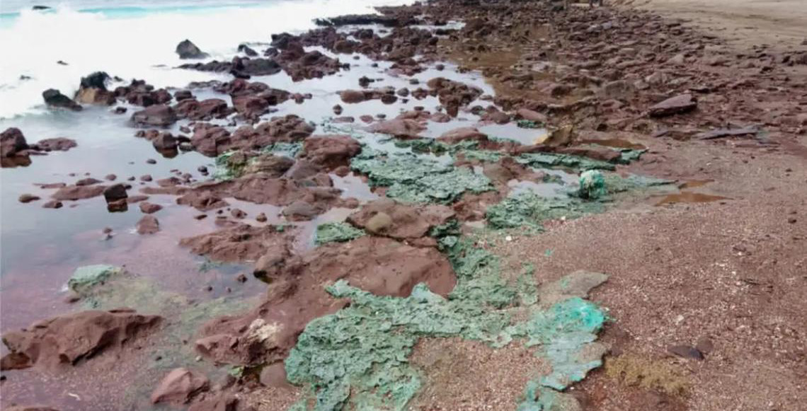 Rochas de plástico chegam a ninhos de tartarugas em ilha brasileira