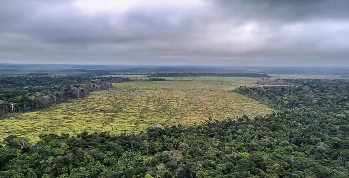 Emissões de gases de efeito estufa no Brasil caem em 2024, mas meta climática segue em risco