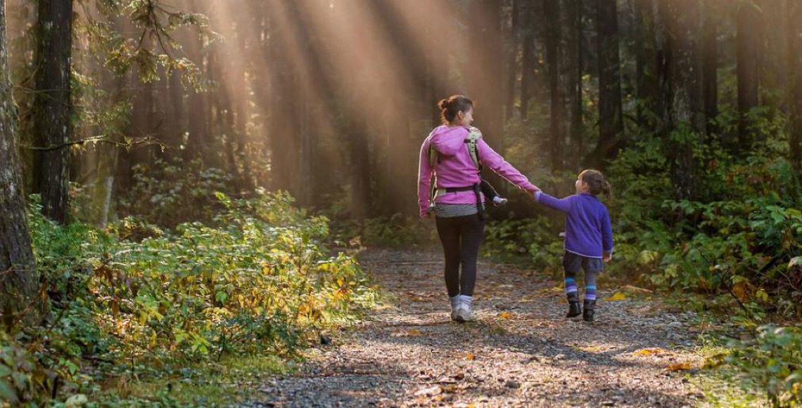 Organização das Nações Unidas marca Dia Internacional das Florestas focando em economia