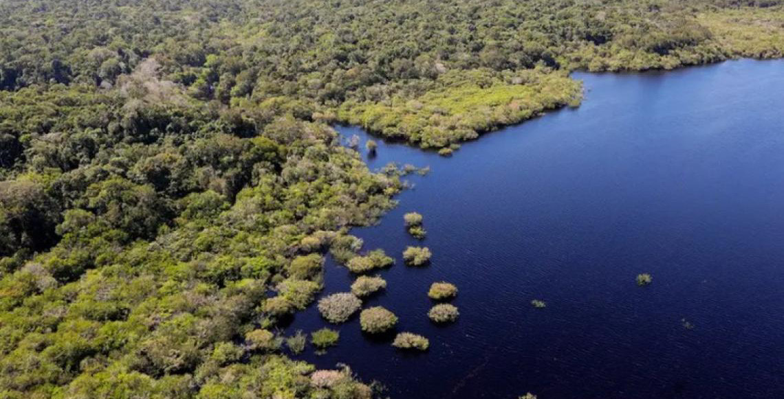 Estudo aponta redução de 30% no desmatamento em áreas da Amazônia atendidas pelo Bolsa Verde