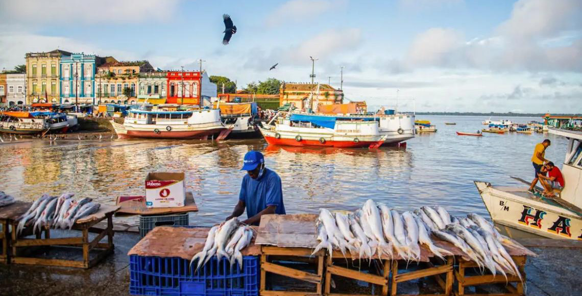Peixes contaminados trazem riscos à saúde de ribeirinhos na Amazônia, estudo da UFOPA traz um alerta