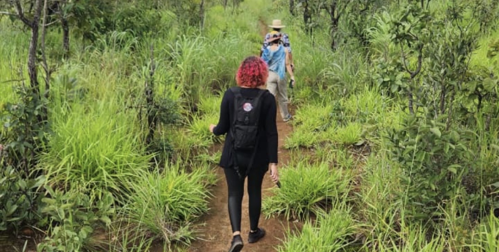 Inscrições para seleção de representantes da sociedade civil em comitê de trilhas ecológicas do DF