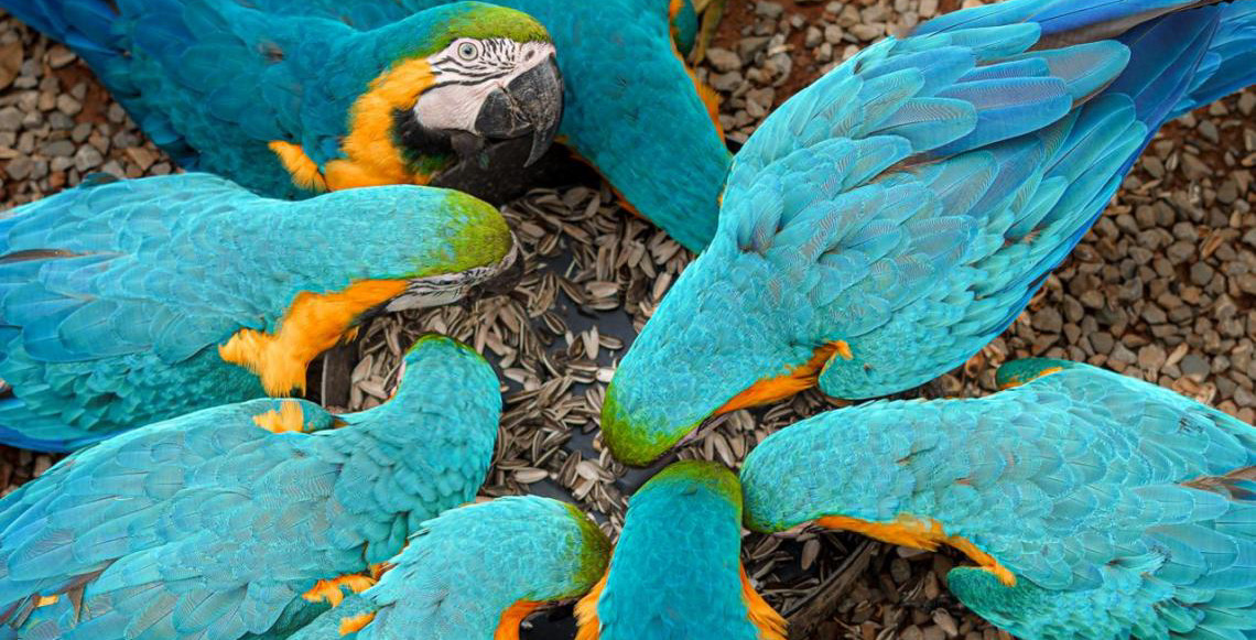 Brasília Além do Concreto: Chapada Imperial revela um lado surpreendente da capital