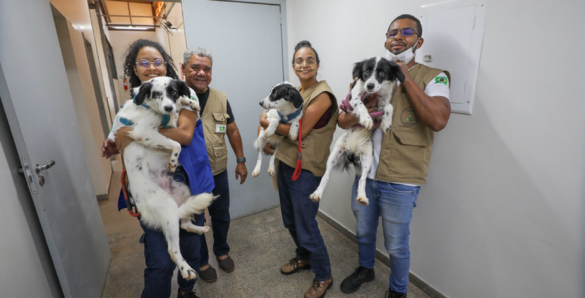 Do pet à fauna silvestre: Cresce a estrutura de proteção animal no Distrito Federal