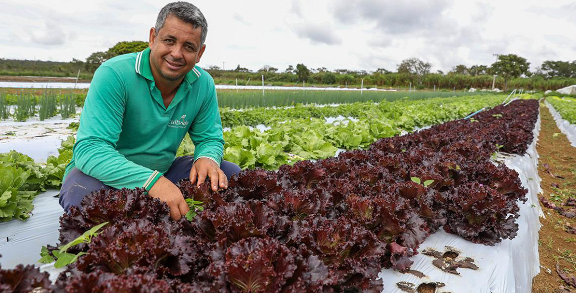 DF registra aumento de 24% no número de produtores rurais atendidos com assistência técnica desde 2019