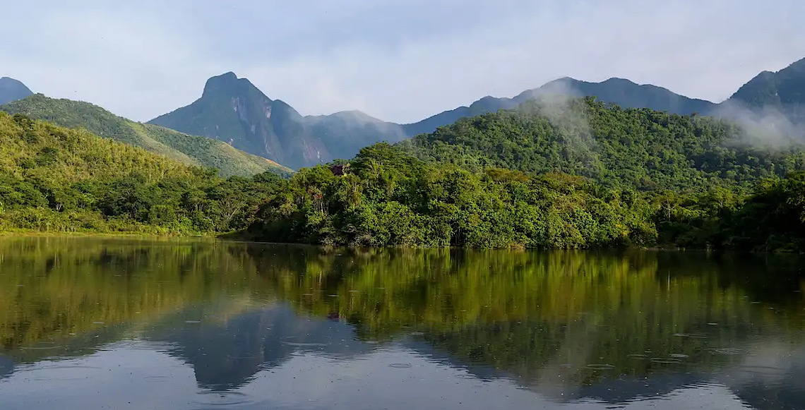 Quantidade de rios da mata atlântica com água boa cai, mostra novo levantamento da Fundação SOS Mata Atlântica