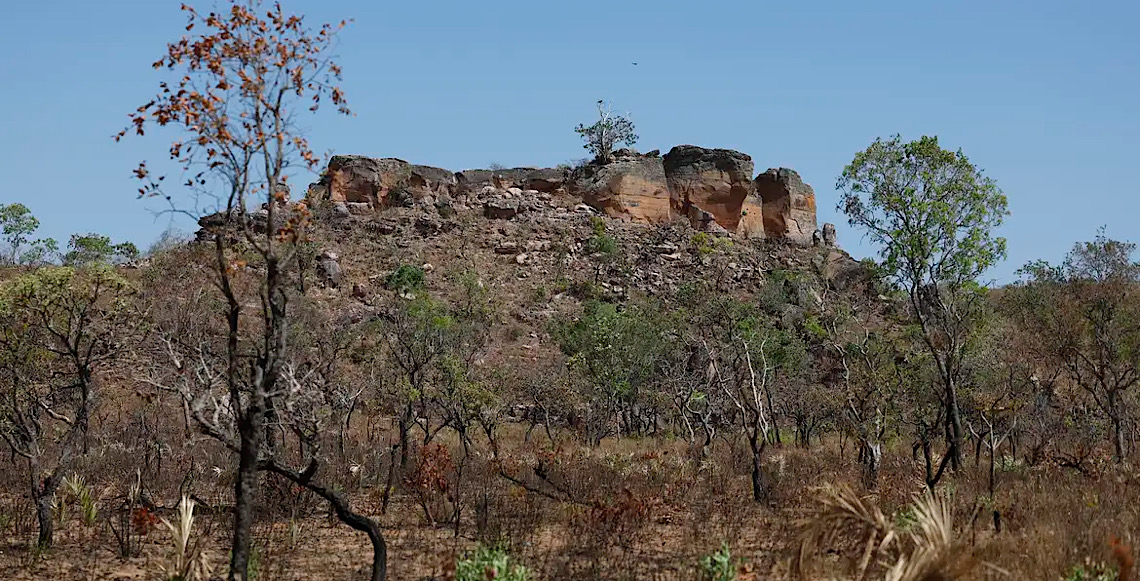 Pesquisa com IA identifica terras agrícolas abandonadas no Cerrado 