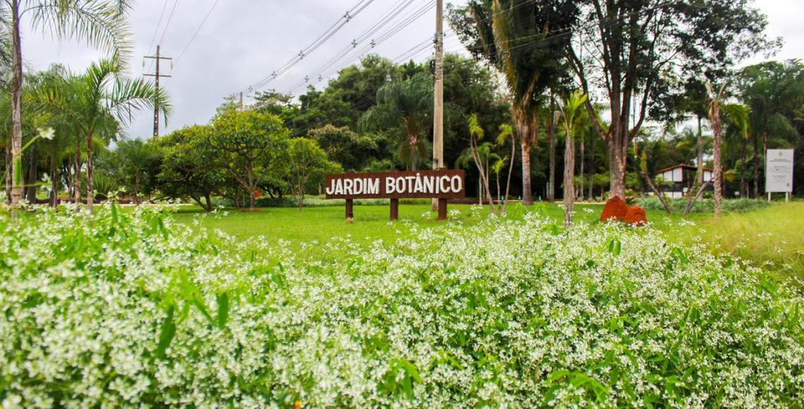 Revista do Jardim Botânico publica descobertas inéditas sobre a biodiversidade brasileira