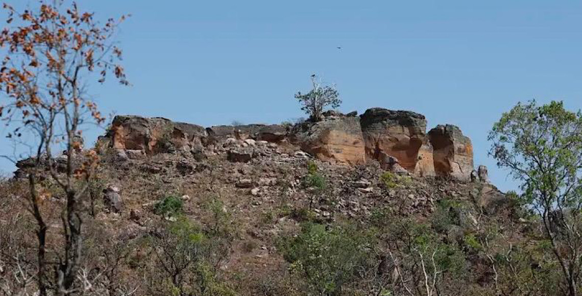 Pesquisa desenvolvida pela Embrapa com IA identifica terras agrícolas abandonadas no Cerrado 