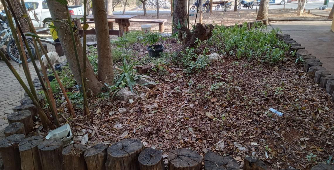 Parque Ecológico Veredinha recebe honraria do Ministério Público por parceria em causa social