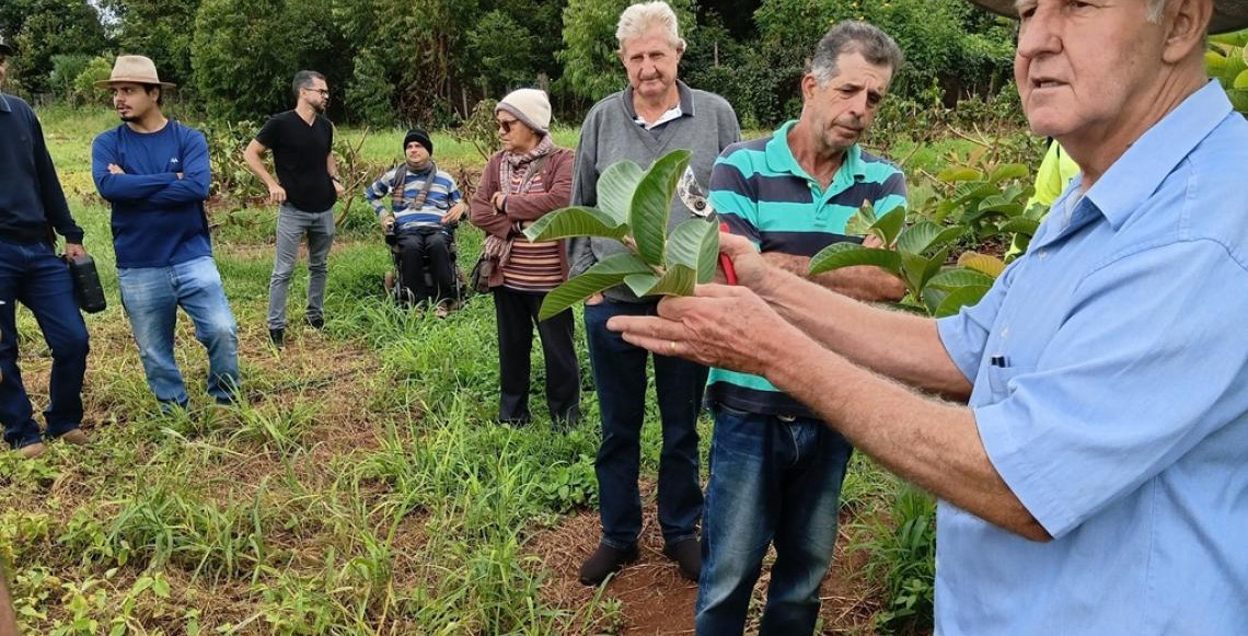 Oficina de poda em frutíferas destaca técnica que garante maior produtividade