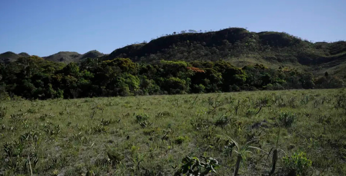 Municípios que mais desmatam têm renda 27% abaixo da média do Brasil