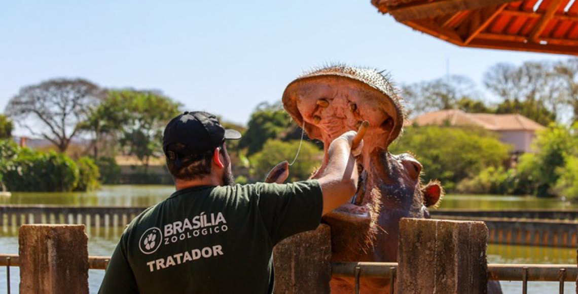 Zoológico de Brasília divulga resultado da primeira fase de seleção para voluntários
