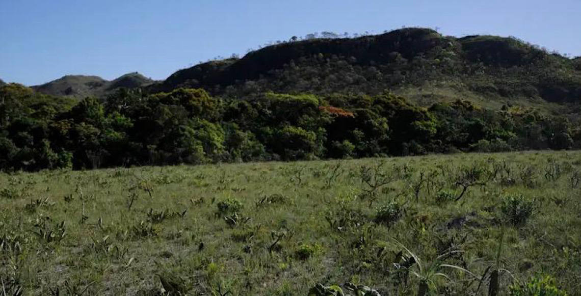 Municípios que mais desmatam têm renda 27% abaixo da média dos municípios do Brasil