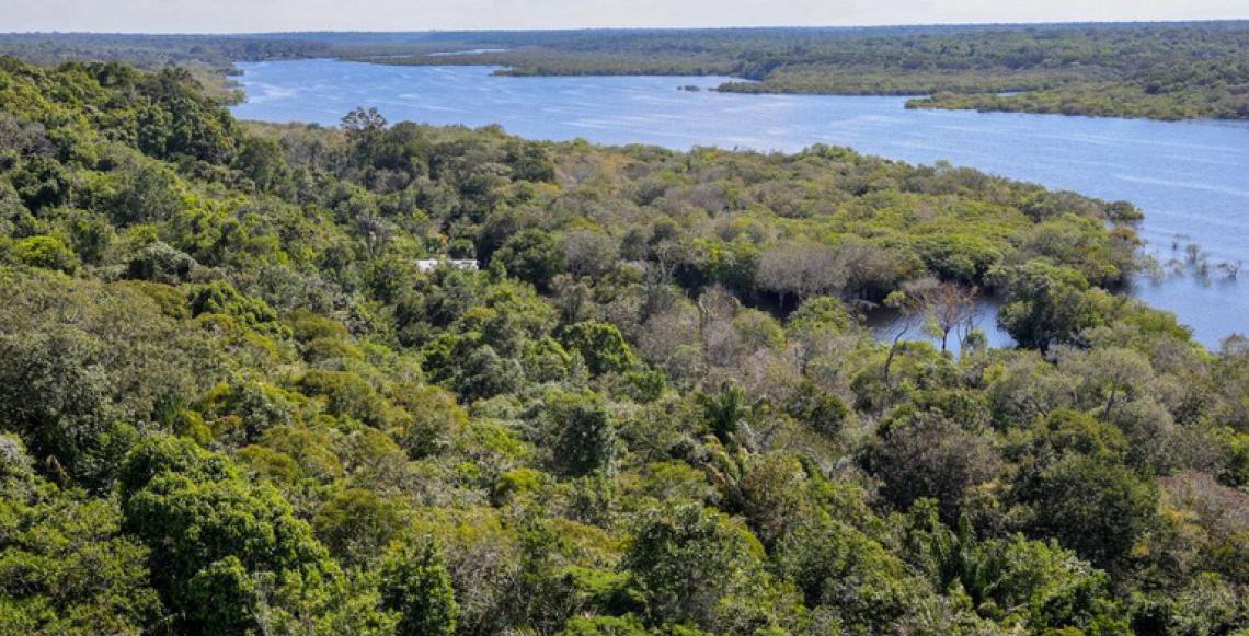 Governo do Brasil anuncia aporte de R$ 350 milhões do Fundo Amazônia para inovação na Amazônia Legal