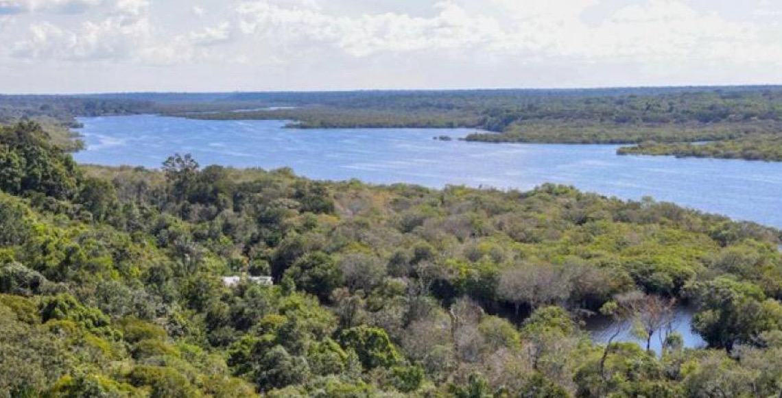 Governo do Brasil anuncia aporte de R$ 350 milhões do Fundo Amazônia para inovação na Amazônia Legal