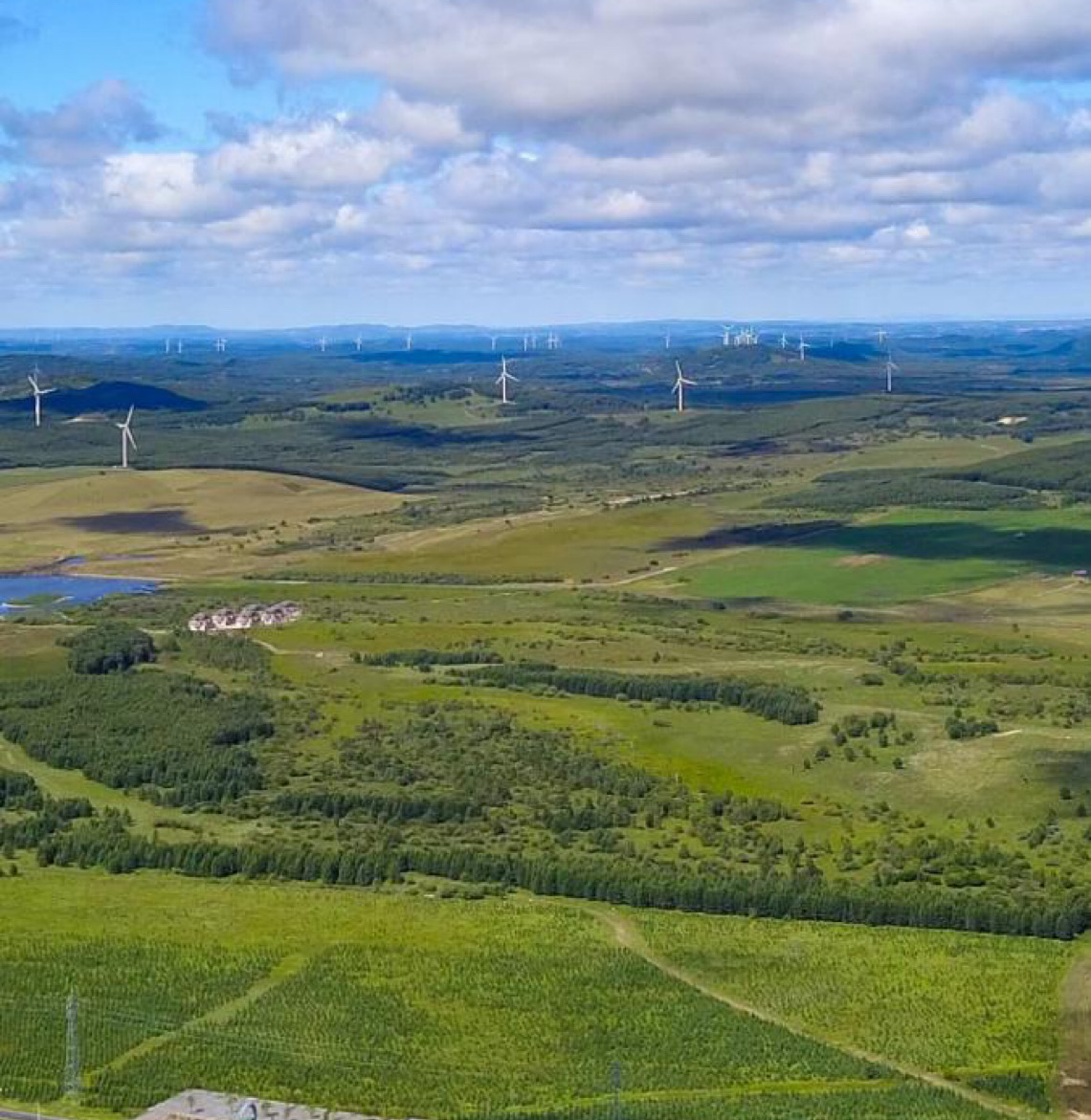 Com 66 bilhões de árvores plantadas, China lidera luta mundial contra desertificação