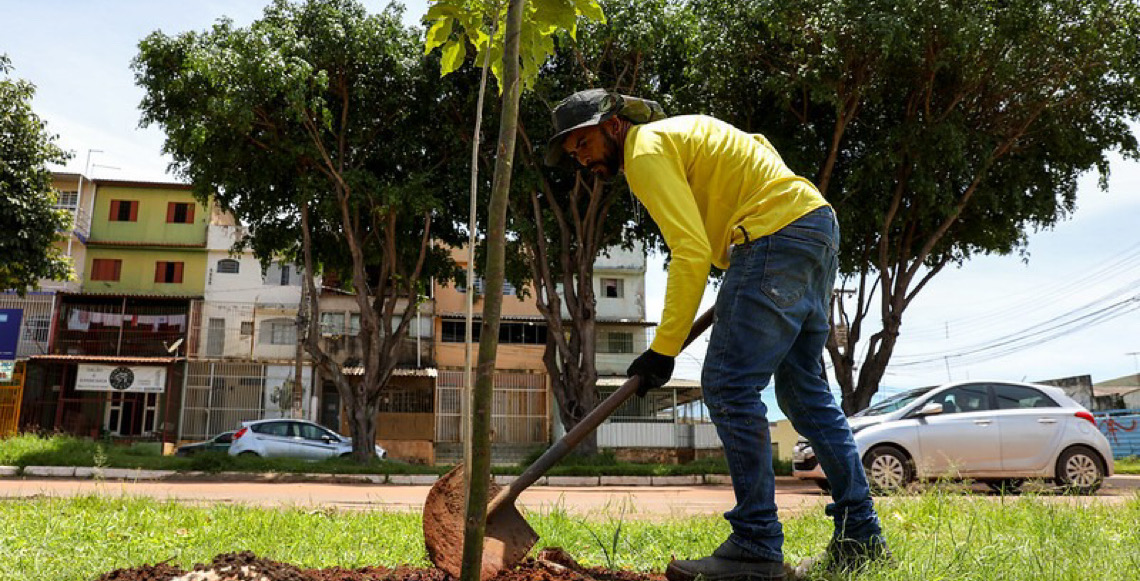 Dia de Plantar uma Muda Nativa do Cerrado: Ação planeja chegar a 150 mil mudas até 2030