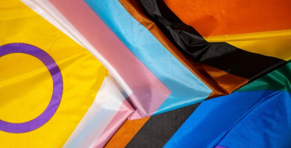 Confira como se candidatar aos editais de políticas públicas voltadas à população LGBTQIA+