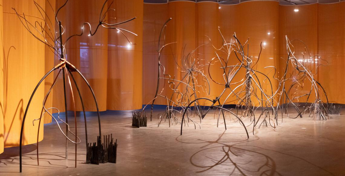 Museu Nacional apresenta 36ª Bienal de São Paulo, em formato itinerante