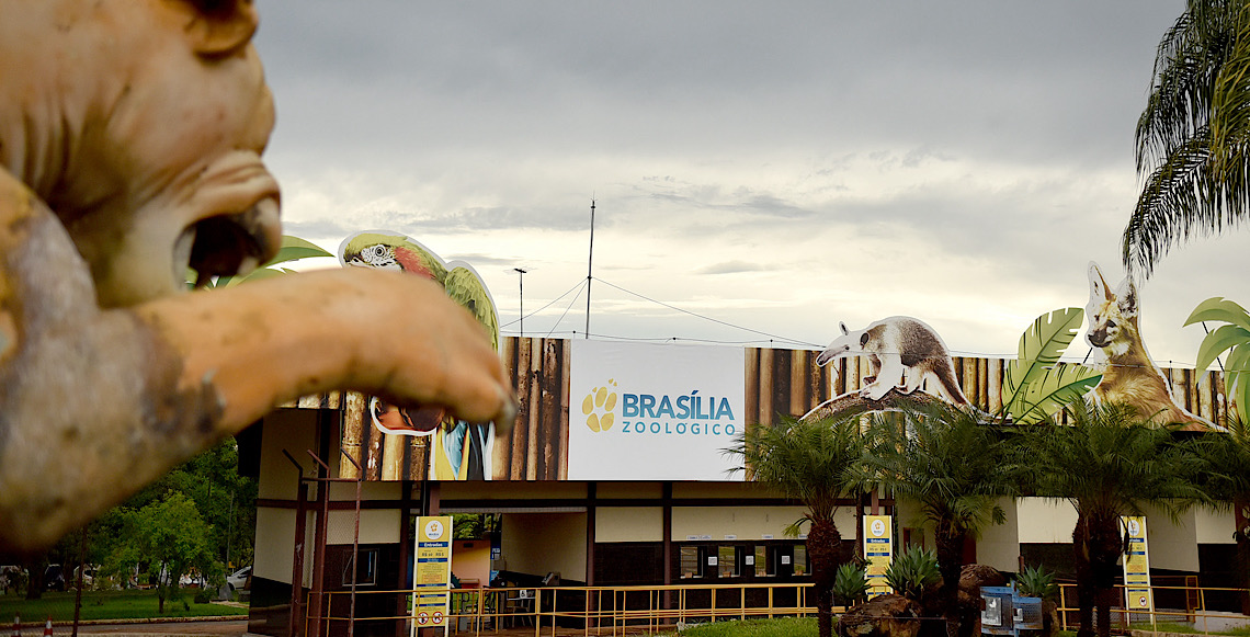 Zoológico de Brasília celebra aniversário da capital com programação especial gratuita
