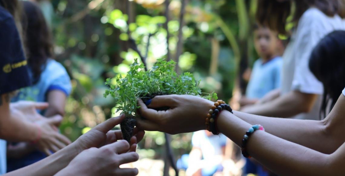 Projeto incentivado por ONG belga integra programas do DF e promove educação ambiental com arte