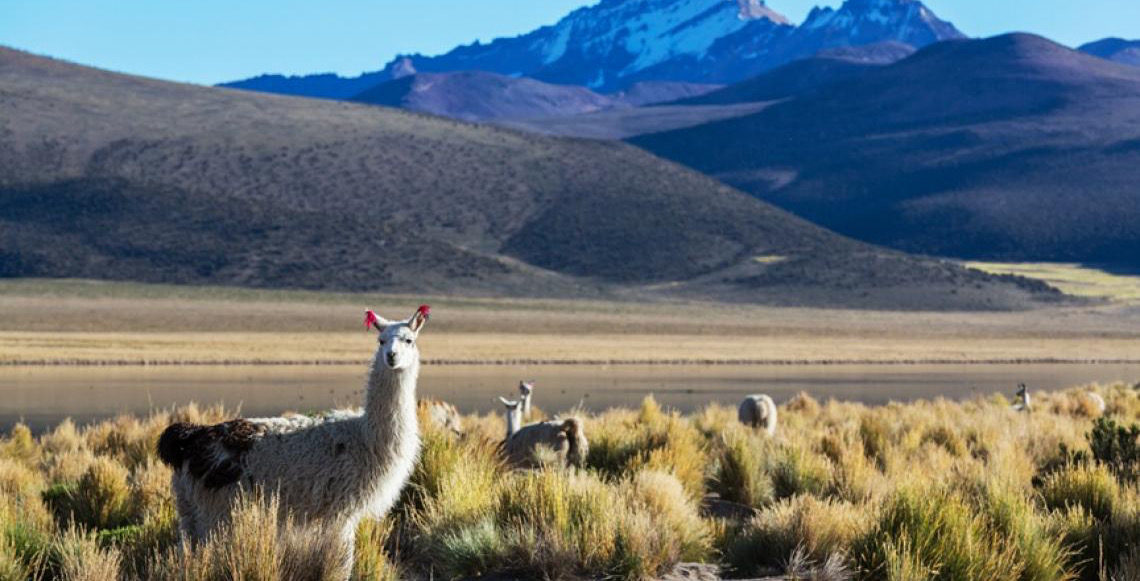 Brasil e Chile discutem ações para ampliar fluxo de turistas, visando a cooperação entre os dois países